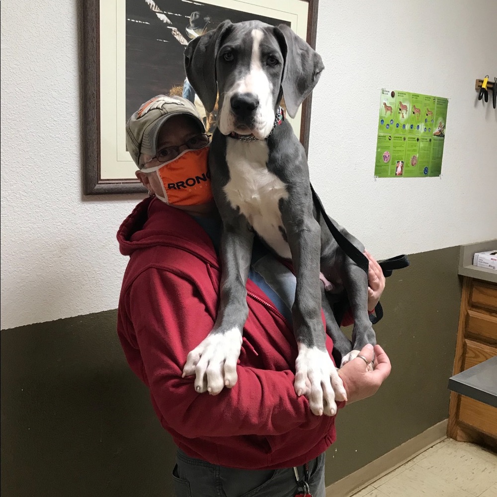 Meet your Posher, DeeDee